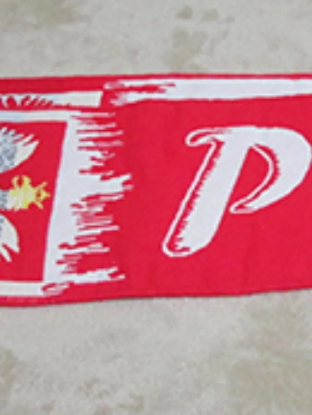 Poland Thick Doubled Sided Winter Scarf 55